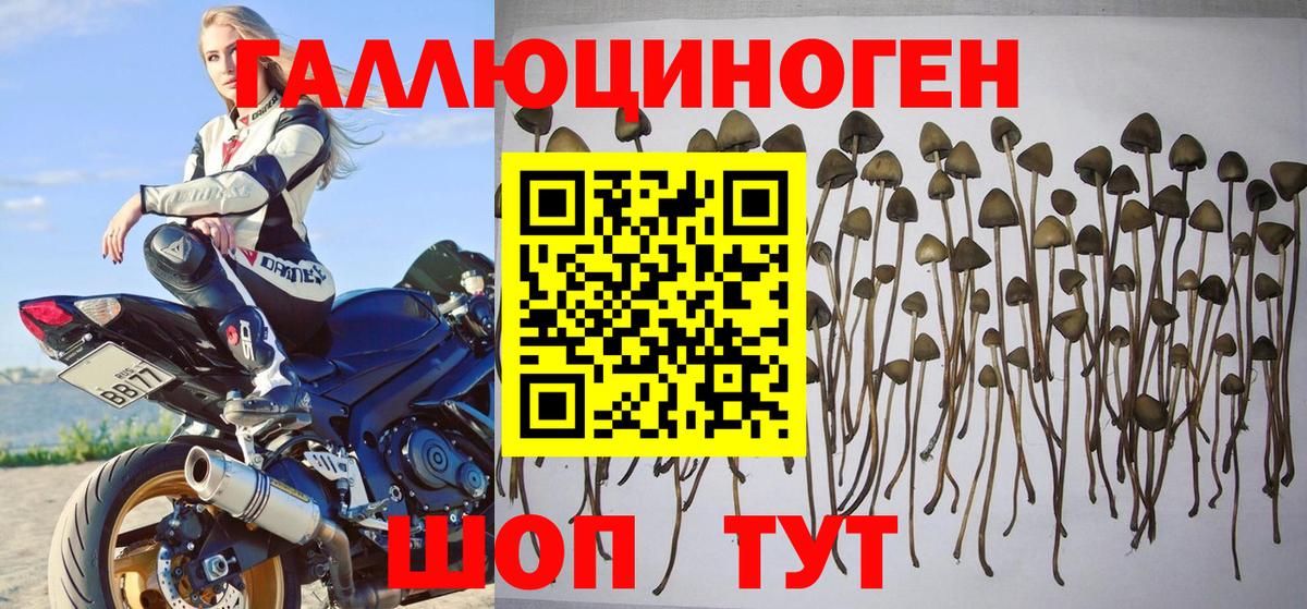 Балахна  Галлюциногенные грибы ЛСД  Вход с VPN 