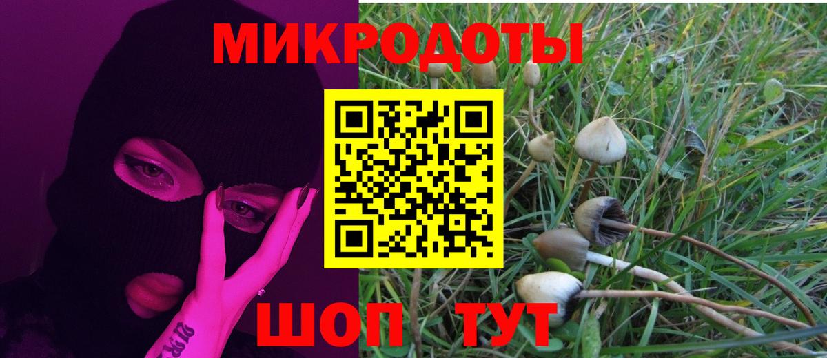 Псилоцибиновые грибы Magic Shrooms Балахна