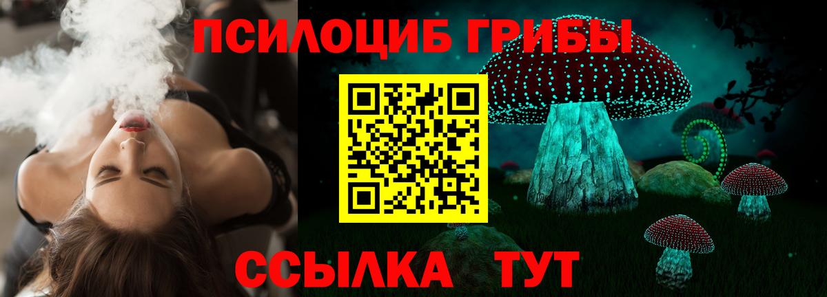 Галлюциногенные грибы MAGIC MUSHROOMS Балахна